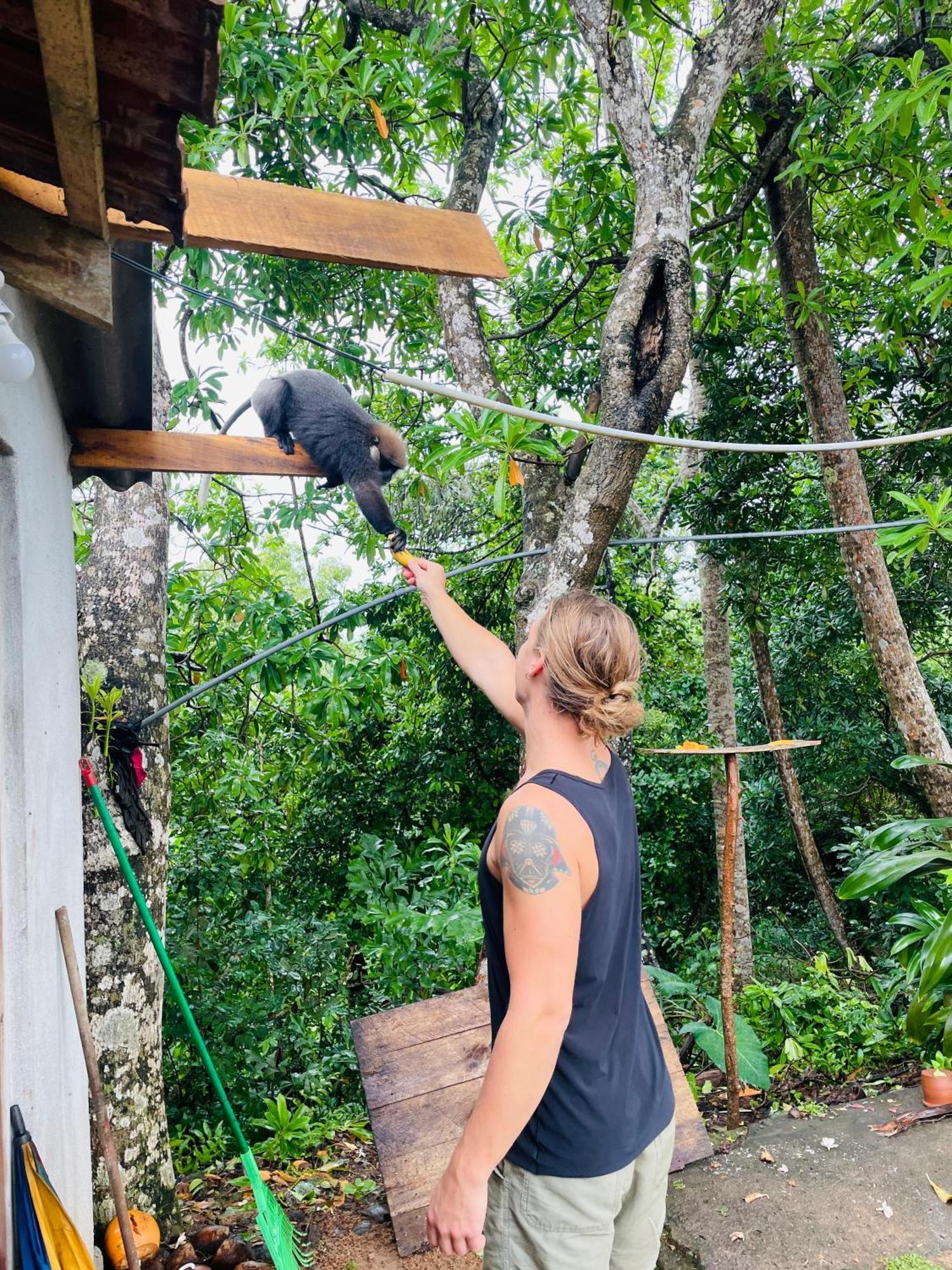 Sky Mountain Cafe With Seaview Bed and Breakfast Weligama Exteriör bild
